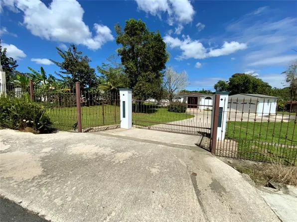 State Route 643 Bo Arriba Salientes S Palmarejo, Manati, PR 00674