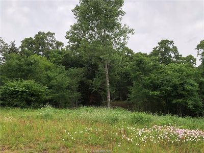3994 Arboleda Dr, College Station, TX, 77845