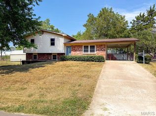 523 Theodore St, Park Hills, MO 63601