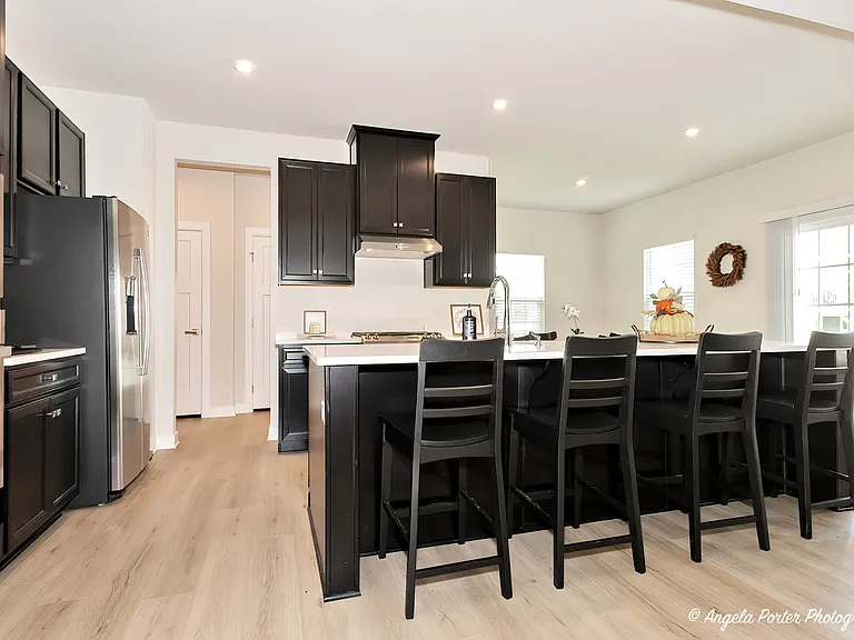Modern Kitchen Elegance