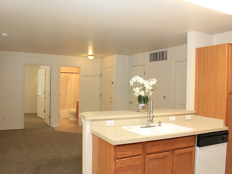 Kitchen to Living Room