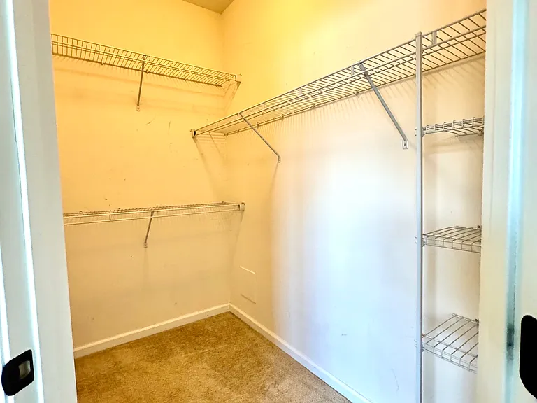 163 Moul Ave - Owner Suite Walk-In Closet
