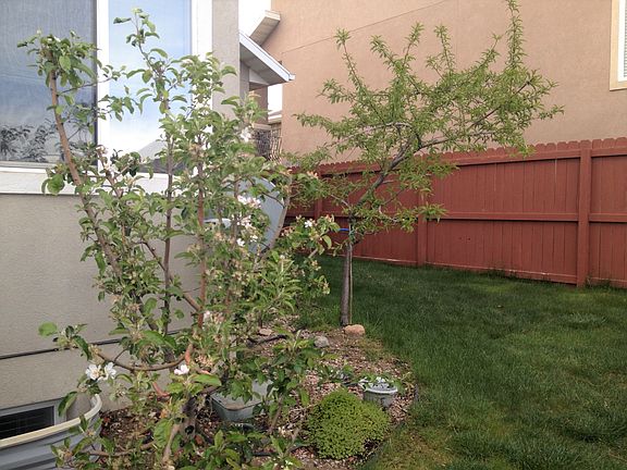 4th image of 4027 N Rivermist Ln