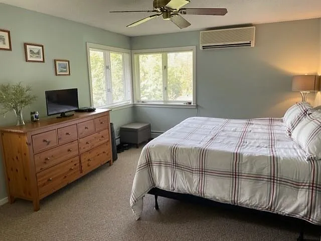 1B N Peak Vlg — Photo 8