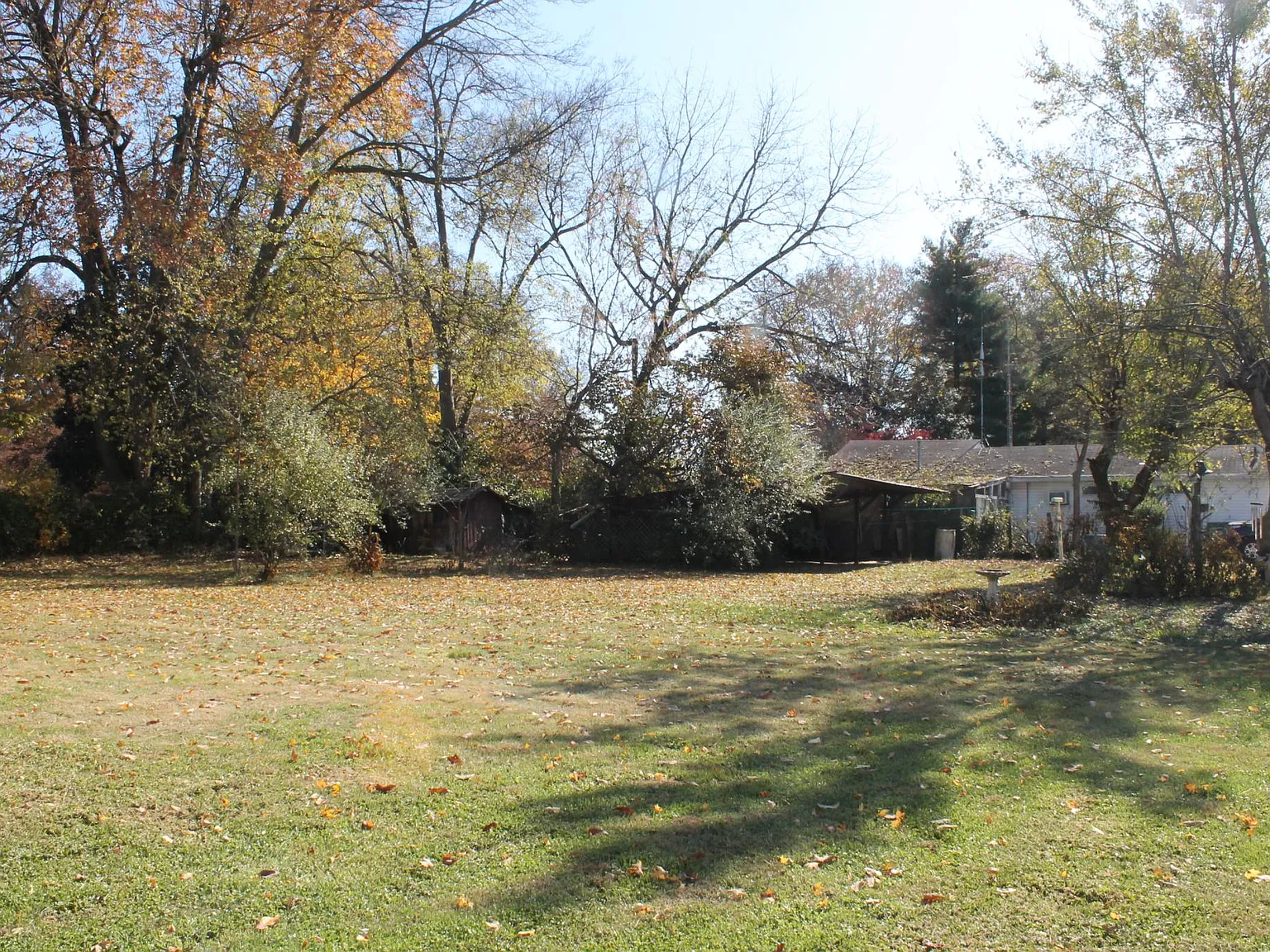 Fairview Ave, Bowling Green — Photo 3
