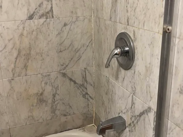 18 Mott Street image 2 of 11