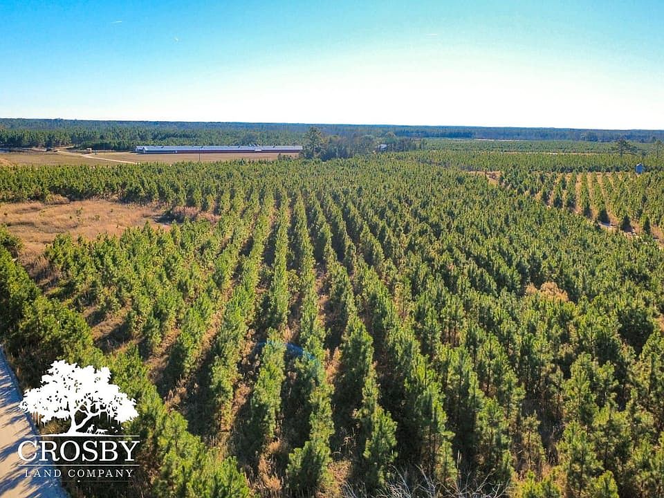 Dji Fly 20251231 150458 352 1767212321397 Photo Optimized