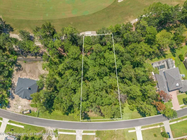 19594 Sterling Bluff Way, Brooksville, FL 34601