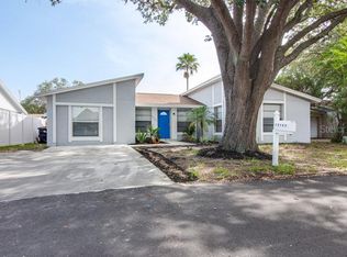 10105 Forest North Ct, Tampa, FL 33615