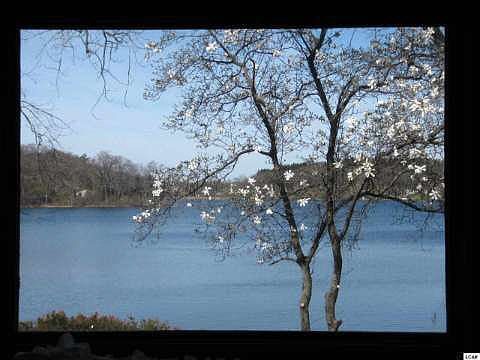 3rd image of 11260 E Crystal Lake Dr