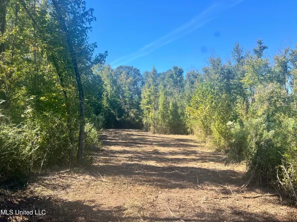 409 Hickory Ln #D, D Lo, MS 39062