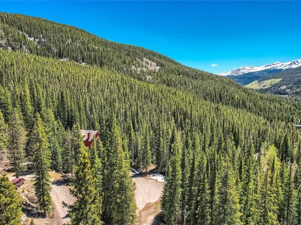 119 Bonanza Trail, Breckenridge, CO 80424