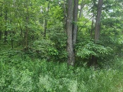 L7 Oakleaf Ln, Wisconsin Dells, WI, 53965
