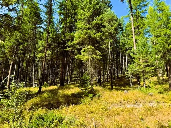 747 Beaver Lake Rd, Whitefish, MT 59937