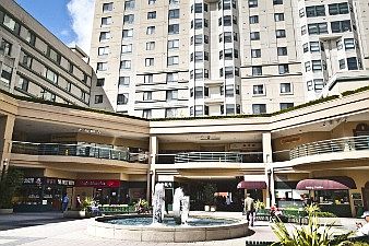 :: 988 Franklin Street, #1101