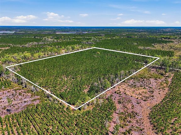 3rd image of SE Pounds Hammock Rd