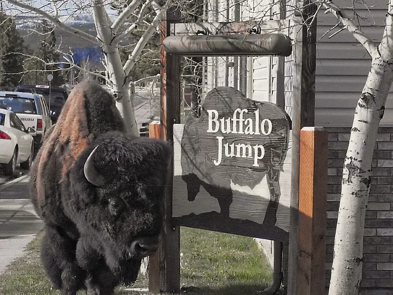 Buffalo Jump Apartments — Photo 3