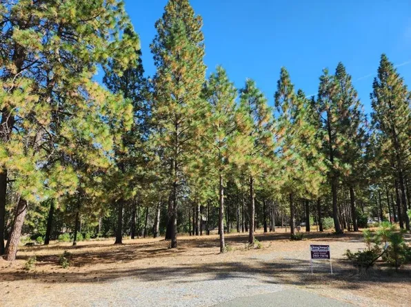 Shawnee Trl, Mountain Ranch, CA 95246