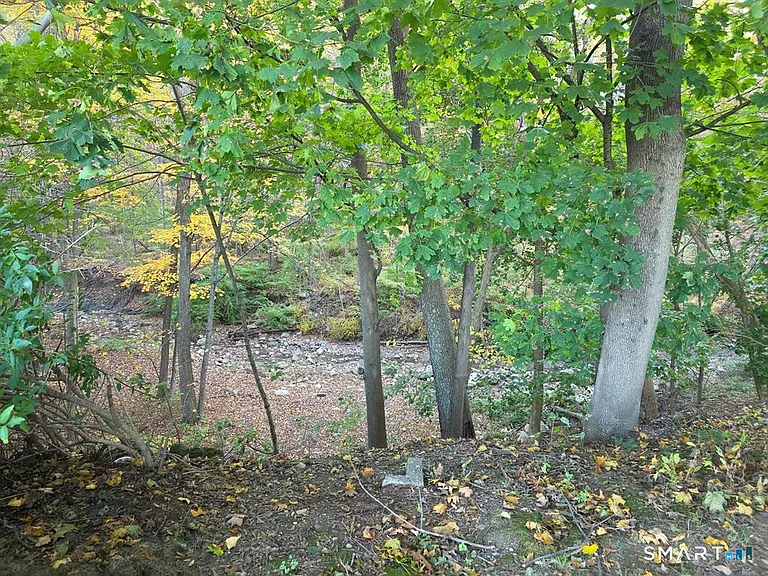 481 Bunker Hill Ave — Photo 13