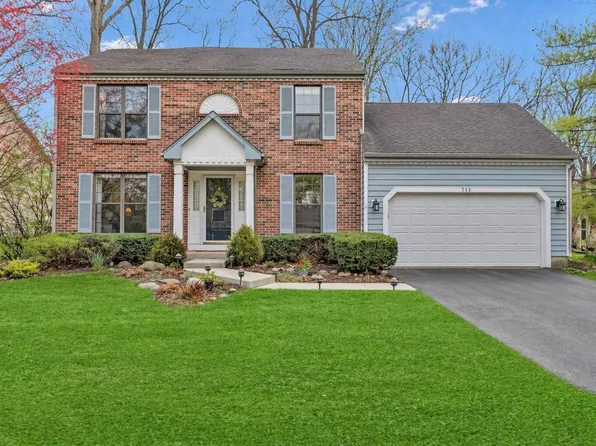 713 Hackberry Ct, Bartlett, IL 60103