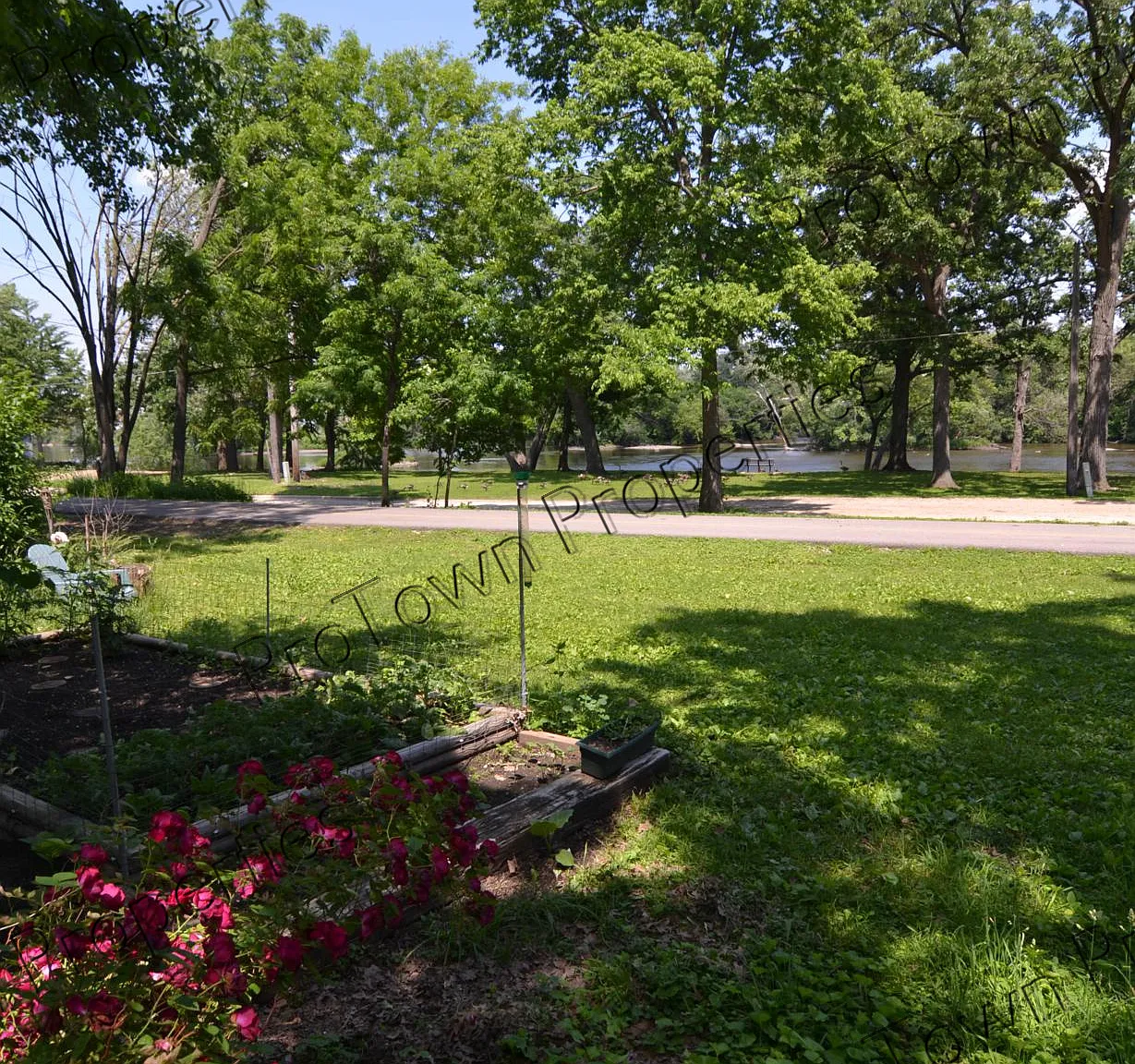 1 bed, 1.0 bath, 700 sqft, $1,125 — Photo 4
