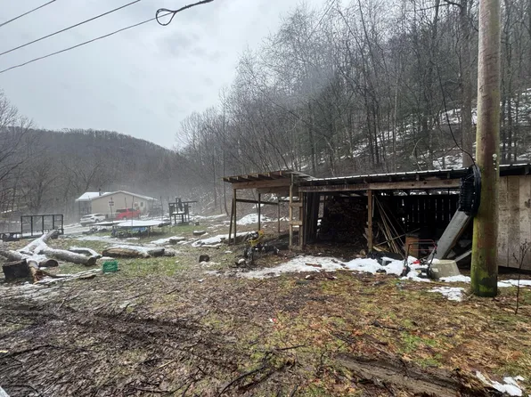 80 Fox Frk, Little Birch, WV 26629