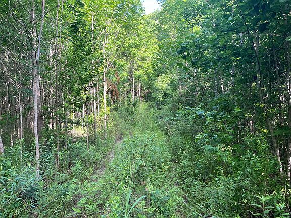 5th image of 0 Highway 28