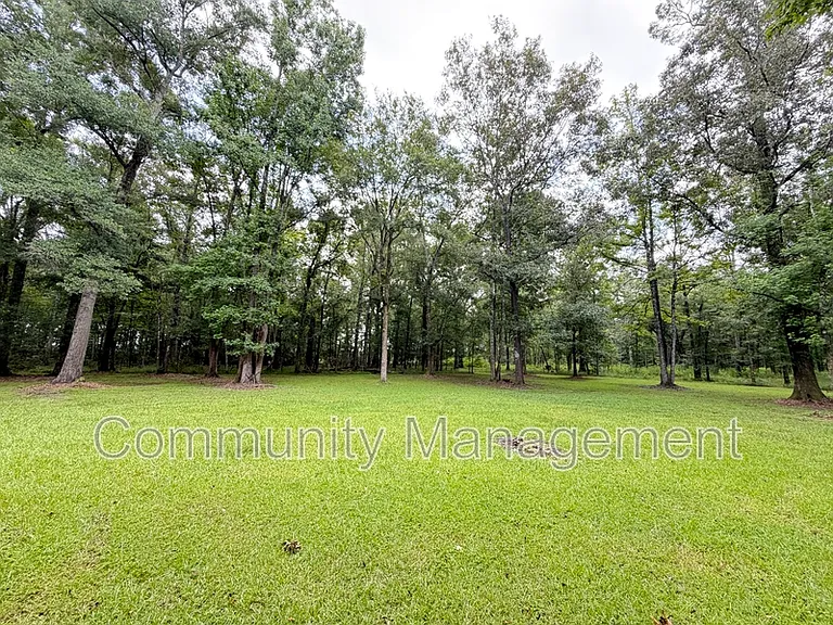 11275 Otto Odom Cir — Photo 29