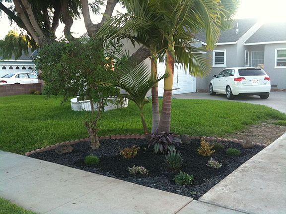 Street-view of Front Landscaping