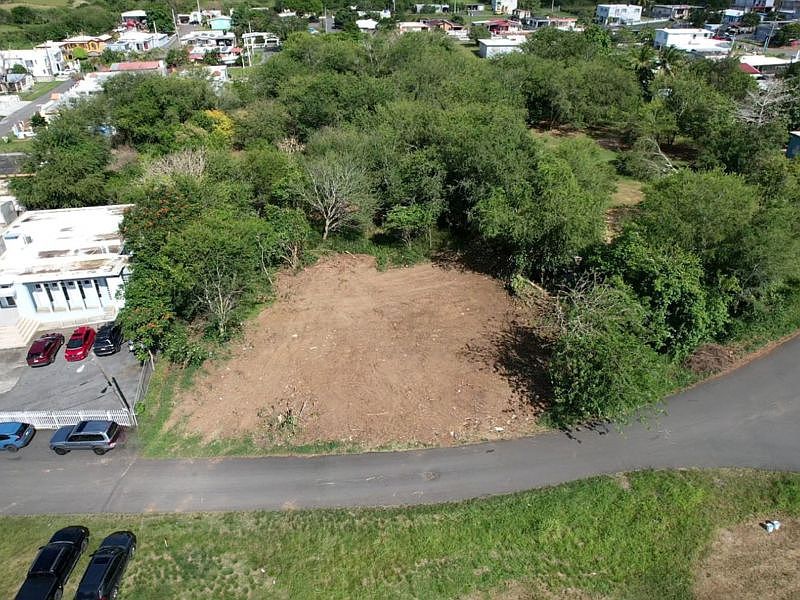 1st image of Calle Bromela Bo Guayabo