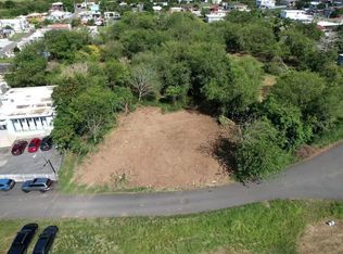 Calle Bromela Bo Guayabo, Isabela, PR 00662