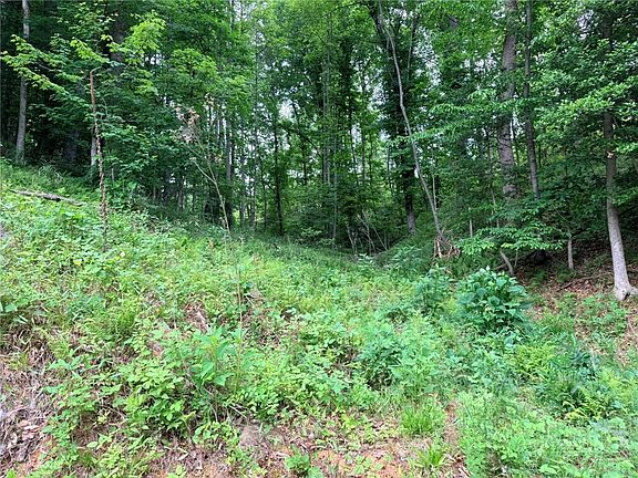 3rd image of TBD N Marley Ford Road