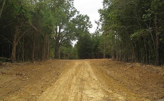 3rd image of 315 Sugar Cane Ln