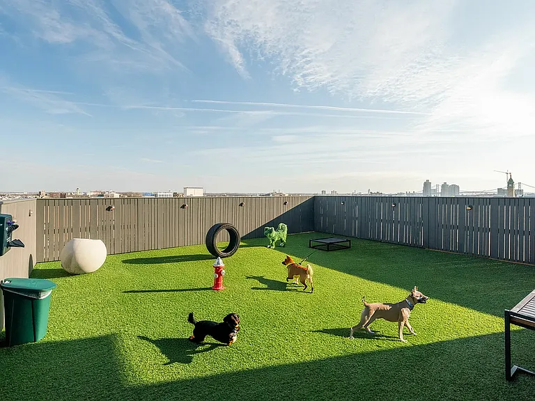 Dog Park (Shared Luxe Access)