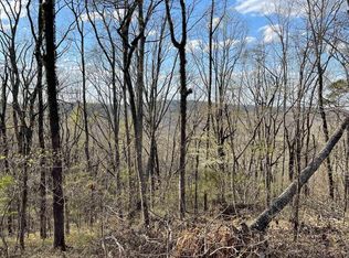 LOT 1 Statum Farm Rd #1, Columbiana, AL 35051