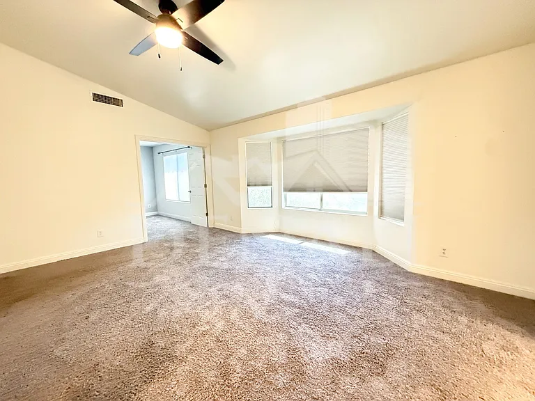 4433 S Avenida Don Pepe — Photo 12