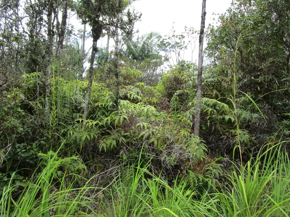 Road 7 Opeapea Lot 4519, Kurtistown, HI 96760