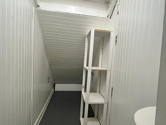 Inside the pet room or storage under the stairs