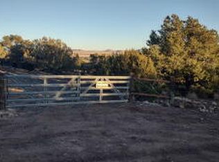 4 County Road 8127 #2369, Concho, AZ 85924