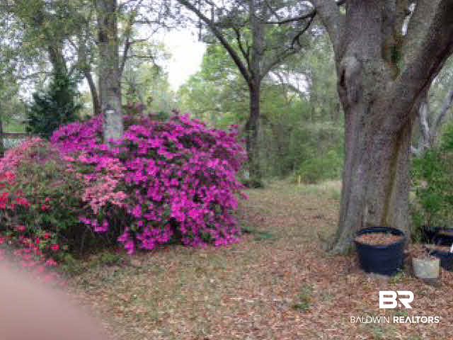 1st image of 0 E Willis Rd