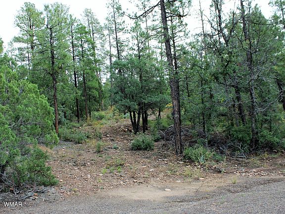 4th image of Tbd S Pine Wood Ln