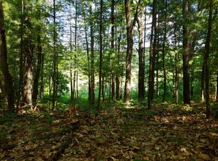 18755 Stronach Dam Rd, Wellston, MI 49689