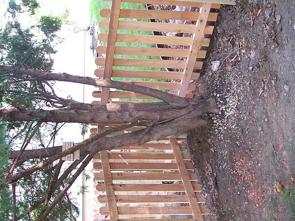 NEW FENCE