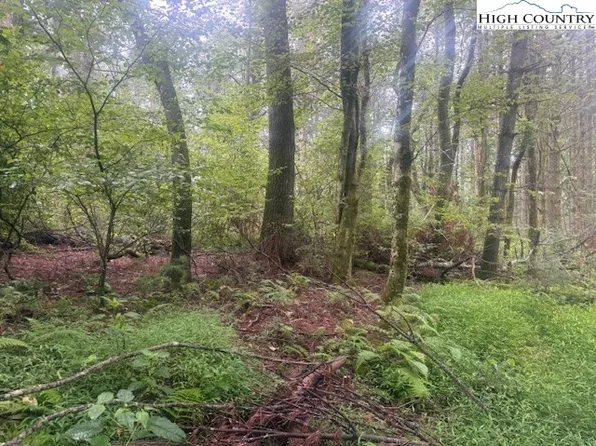 TBD Thistle Hill Lane, Jefferson, NC 28640