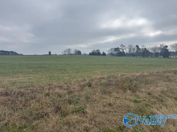 TRACT 10 State Highway 99, Elkmont, AL 35620