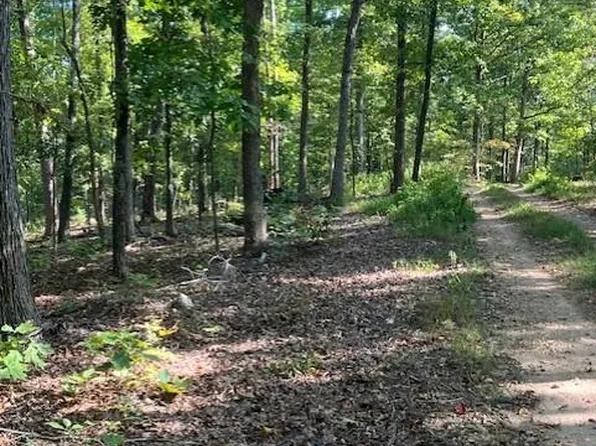 172 Madison St #410, Fredericktown, MO 63645