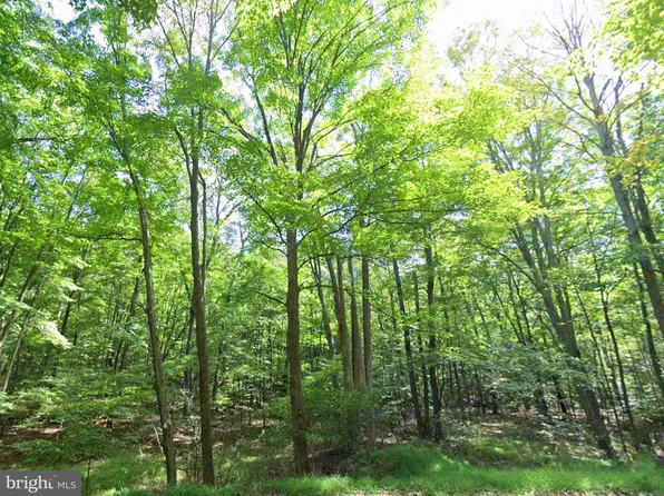 0 Juniata Aly, Hollidaysburg, PA 16648