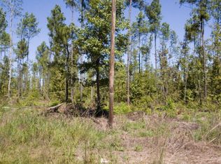 25 Pollett Rd TRACT 25, Bartow, GA 30413