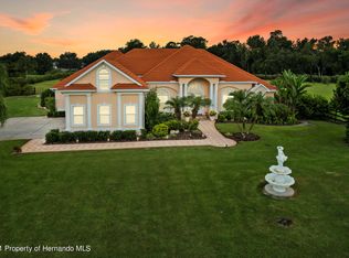 18511 Hancock Bluff Rd, Dade City, FL 33523