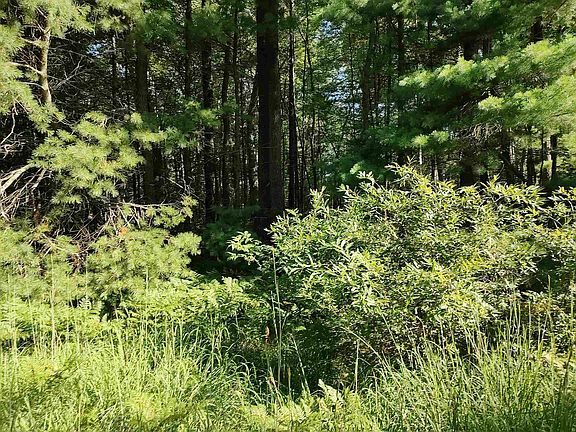 3rd image of Vl Grass Lake Rd